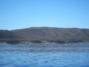 Gordon River Cruises, Salmon Farms, Strahan,