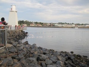 Devonport, Eve in the City: Latern Dreams Festival