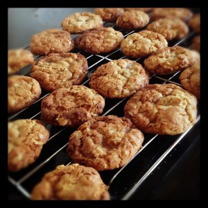 Spiced oat cookies