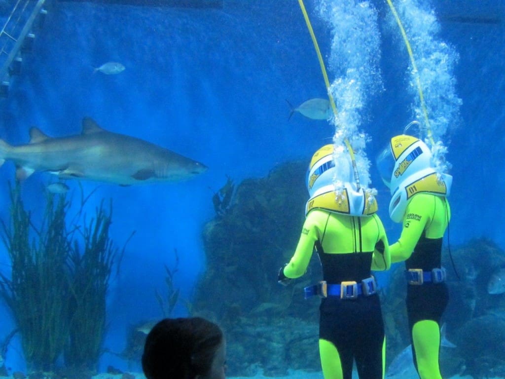 Melbourne Aquarium People