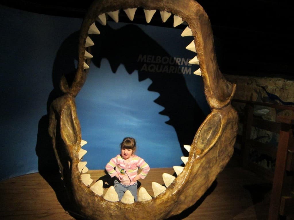 Melbourne Aquarium shark teeth
