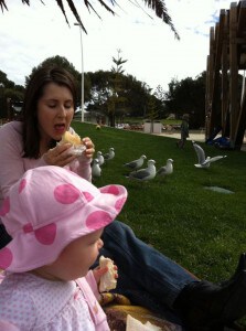 picnic with seagulls