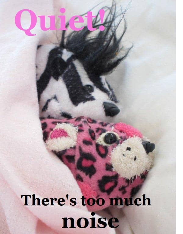 Quiet! There’s too much noise – Zhu Zhu children’s picture book