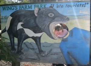 Wing's Wildlife Park, Gunns Plains, Tasmania, North West, Tassie devil