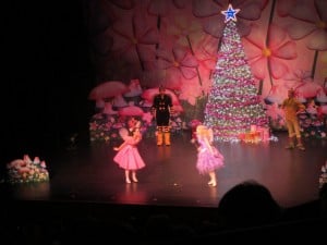Princess Theatre Launceston, The Fairies