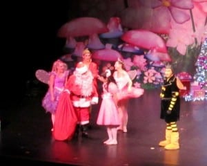Princess Theatre Launceston